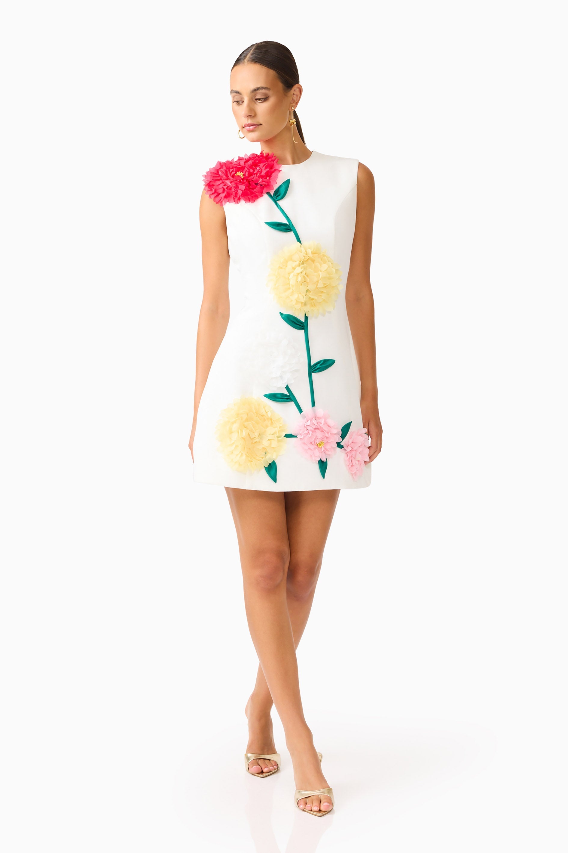 Buttercup Embroidered Mini Dress in Ivory