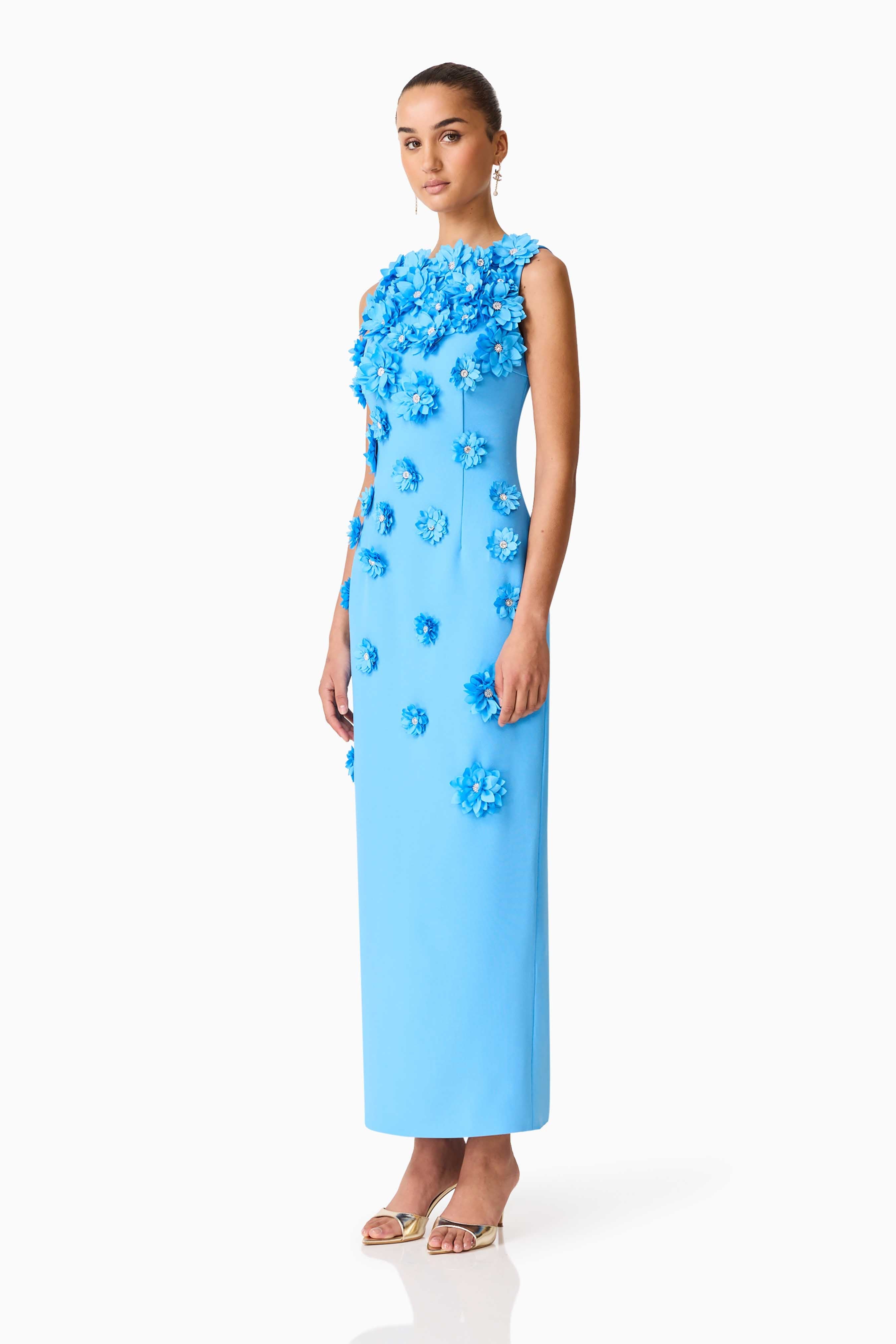 Dali Floral Applique Gown in Blue